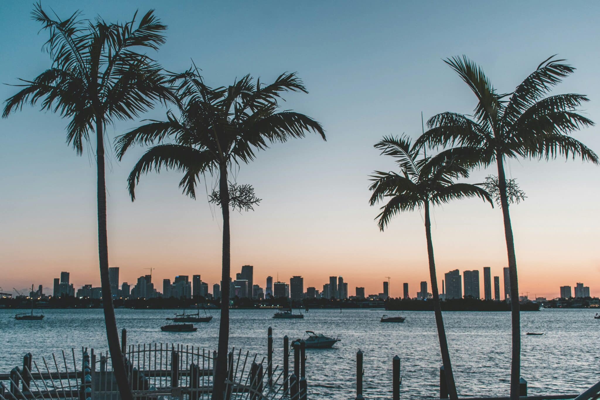 Miami skyline at sunset behind palm trees, symbolizing recovery and renewal.