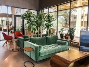 a living room filled with lots of green furniture -- Photo by Michelle Williams on Unsplash