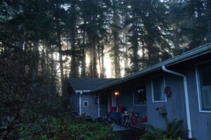 Sunlight streams through trees onto a house. -- Photo by fr0ggy5 on Unsplash