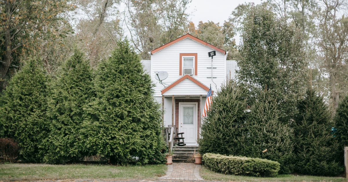 Facade of cottage with American flag among growing fir trees located near asphalt road in suburb